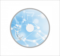 BaLu Stockk�rper Phantom - Quantum Nodes